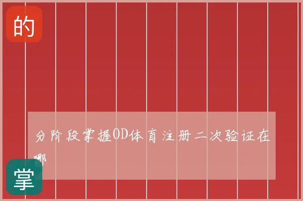 分阶段掌握OD体育注册二次验证在哪